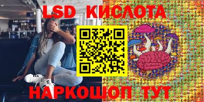 ПСИЛОЦИБИНОВЫЕ ГРИБЫ Апшеронск