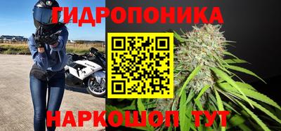 ПСИЛОЦИБИНОВЫЕ ГРИБЫ Апшеронск
