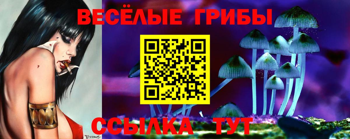 Галлюциногенные грибы Cubensis  Вход с VPN  Волжск 